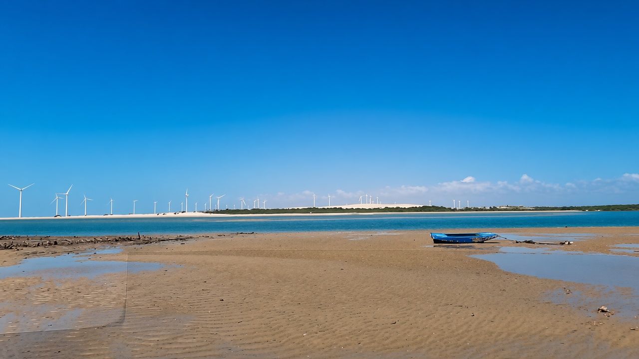 Coleção Saberes do estuário