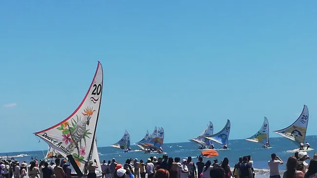 Velas ao vento durante a regata